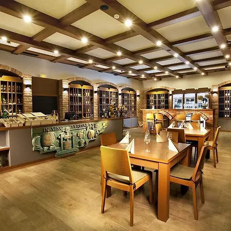 Vinarsky Andre Guest house 4*