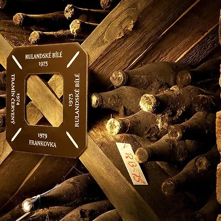 Vinařský André 4* Velké Pavlovice