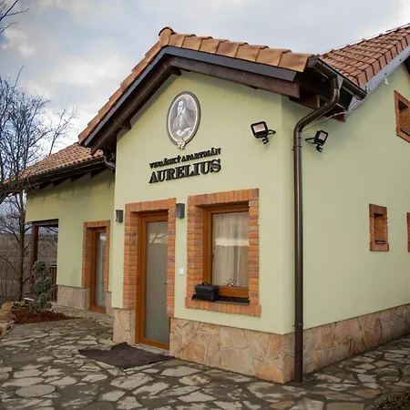 Guest house Vinarsky Andre Velke Pavlovice
