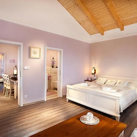 Vinařský André 4* Velké Pavlovice
