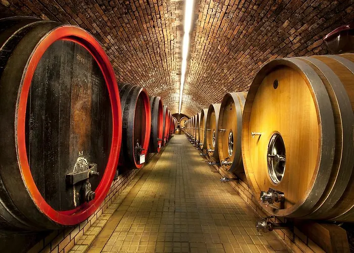 Pensionat Vinarsky Andre Velké Pavlovice