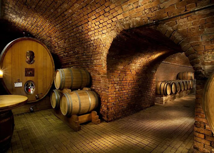 Vinarsky Andre 4* Velké Pavlovice