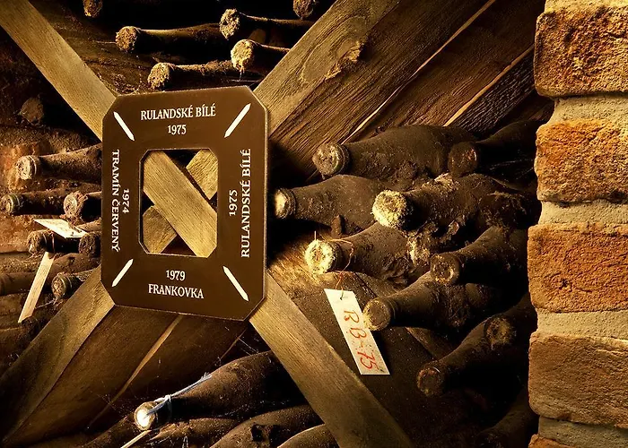 Vinarsky Andre 4* Velké Pavlovice