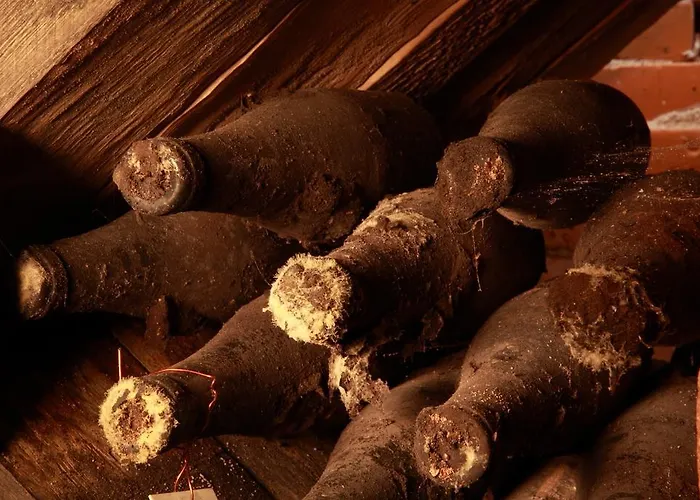 Vinarsky Andre Pensionat 4*