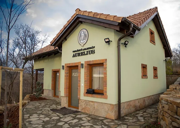 Pensjonat Vinarsky Andre Velké Pavlovice