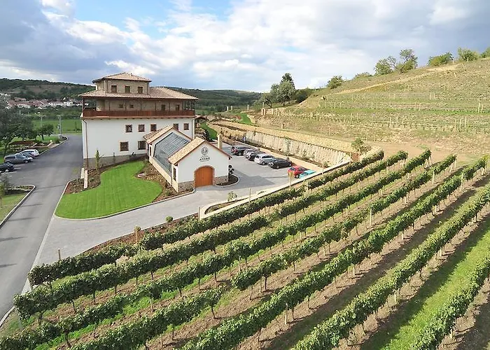 Vinarsky Andre Pensionat