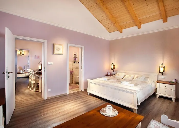 Vinarsky Andre 4* Velké Pavlovice