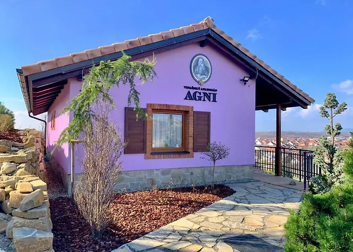 Vinarsky Andre Pensionat